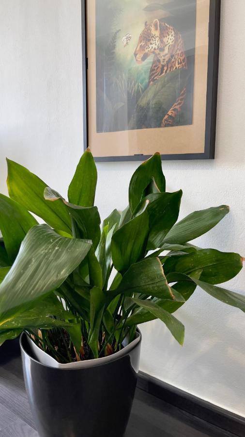 Apartamento T2 Com Terraco Grande Daire Quarteira Dış mekan fotoğraf